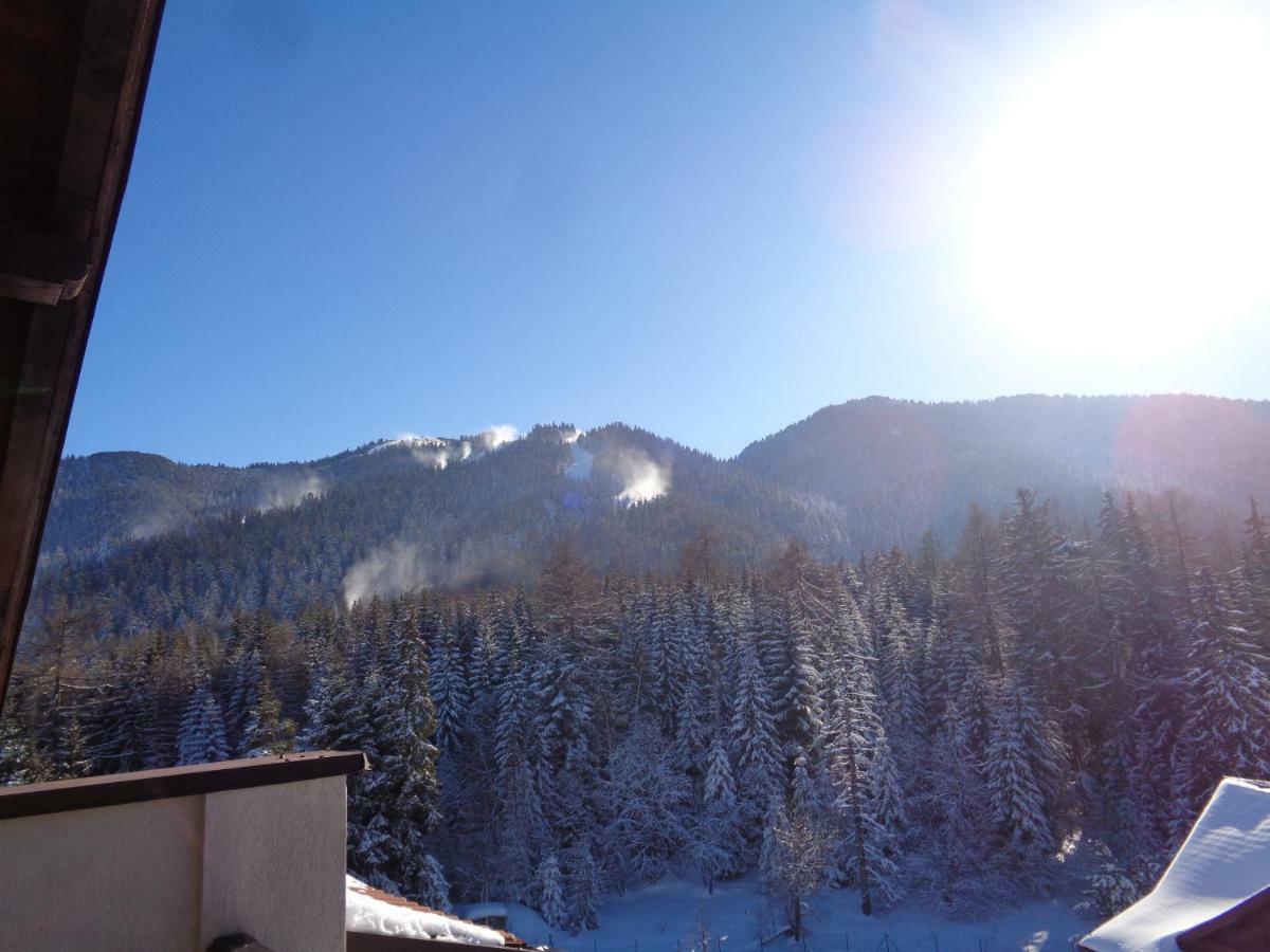 Yastrebetz View Daire Borovets Dış mekan fotoğraf